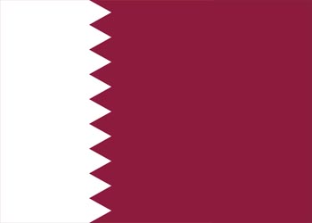 Sceaux de sécurité en plastique du Qatar
